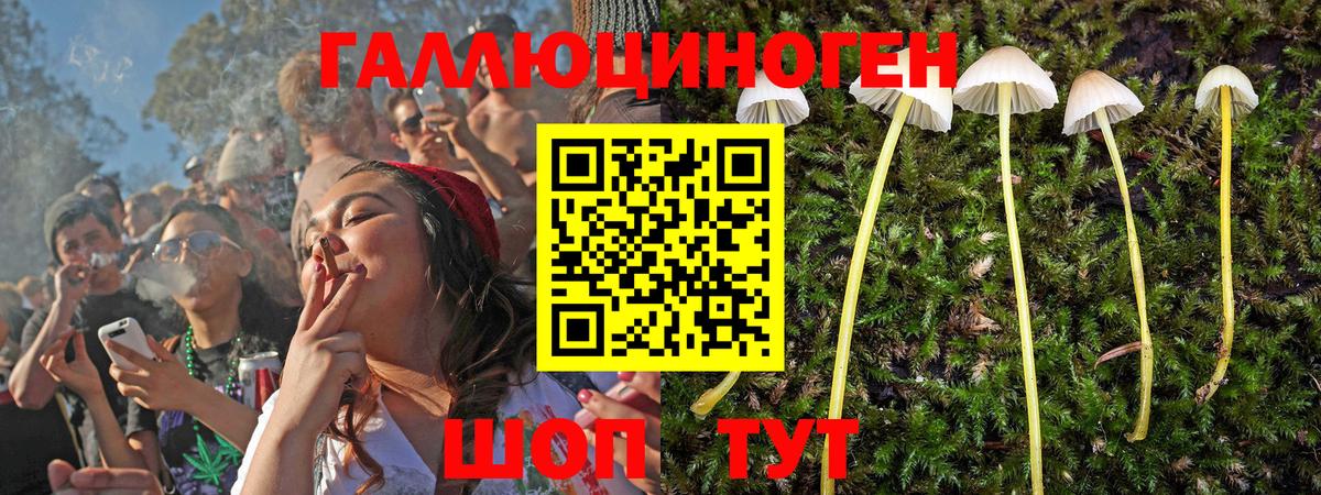 Ахтубинск  Псилоцибиновые грибы GOLDEN TEACHER  купить  сайты  Вход с VPN 